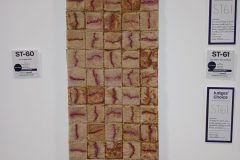 20240804_103639-scaled