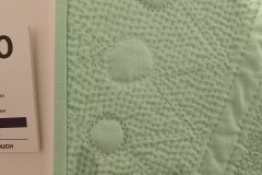 20240804_121246-scaled